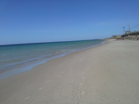 13062270_10100946589105135_2858738909223141983_n