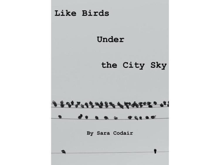 like-birds-under-the-city-sky-cover